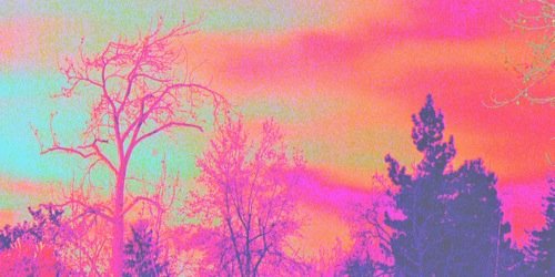 teresatamika's profile banner image