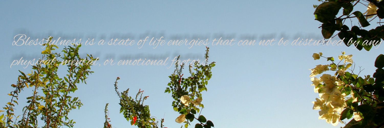 sjud_'s profile banner image