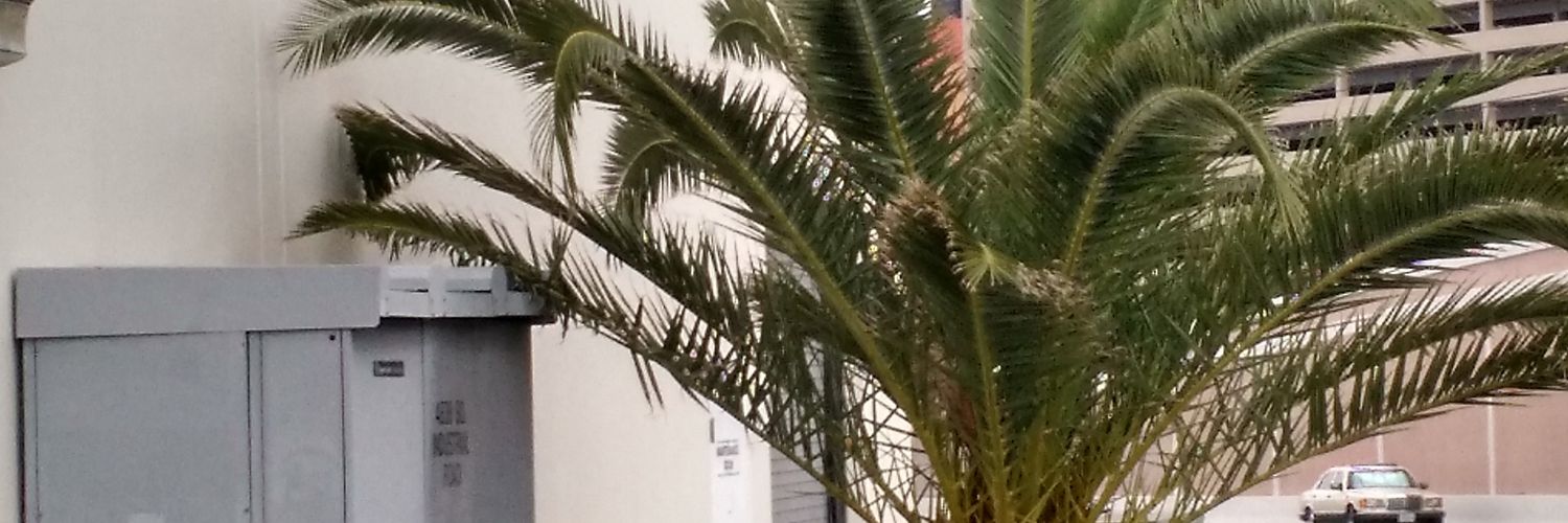 doderofamily's profile banner image
