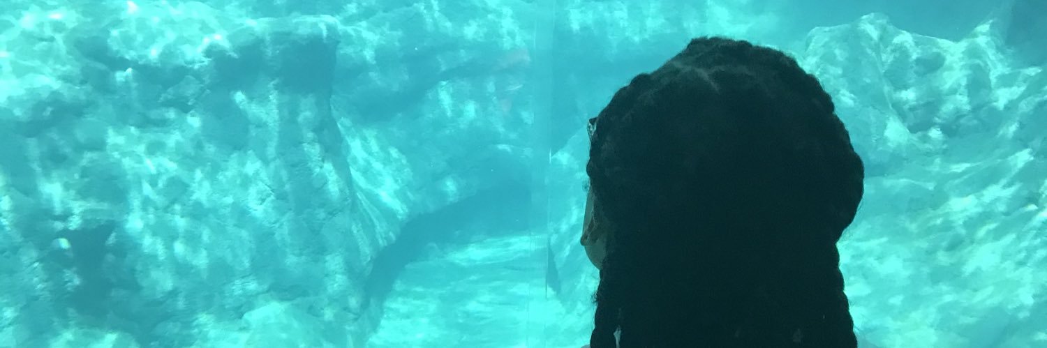 theindiniable's profile banner image