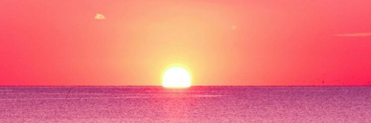 xolovedn's profile banner image