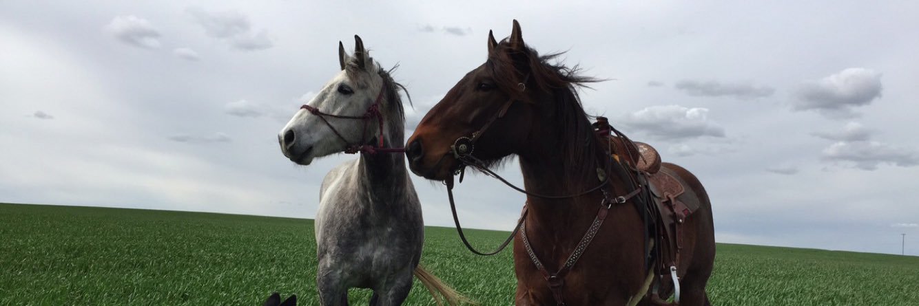 Barnbabe_19's profile banner image