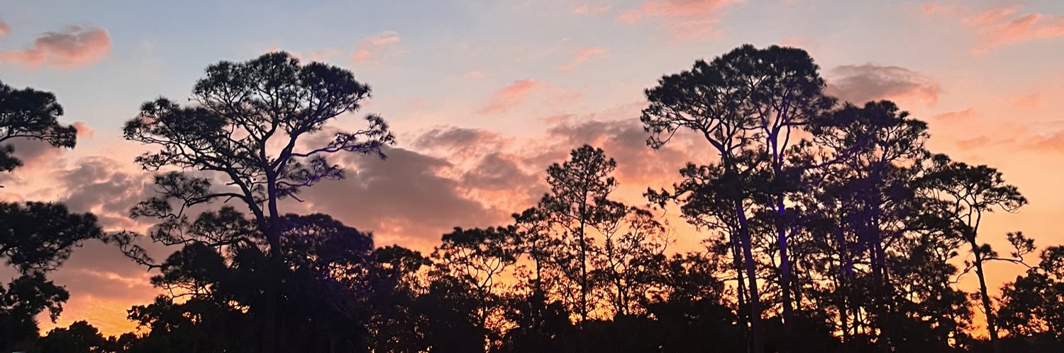 vividxvv's profile banner image
