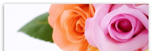 marionwakahe's profile banner image