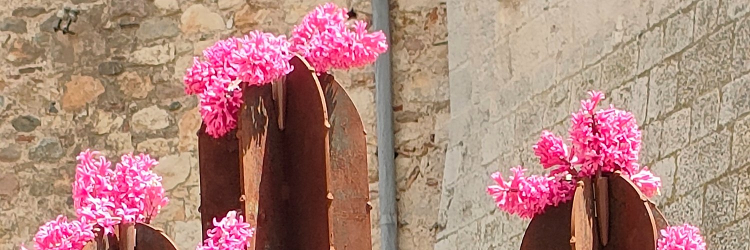bilgeend's profile banner image
