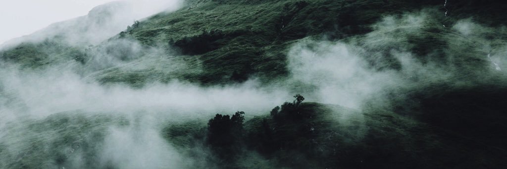 acidactyl's profile banner image