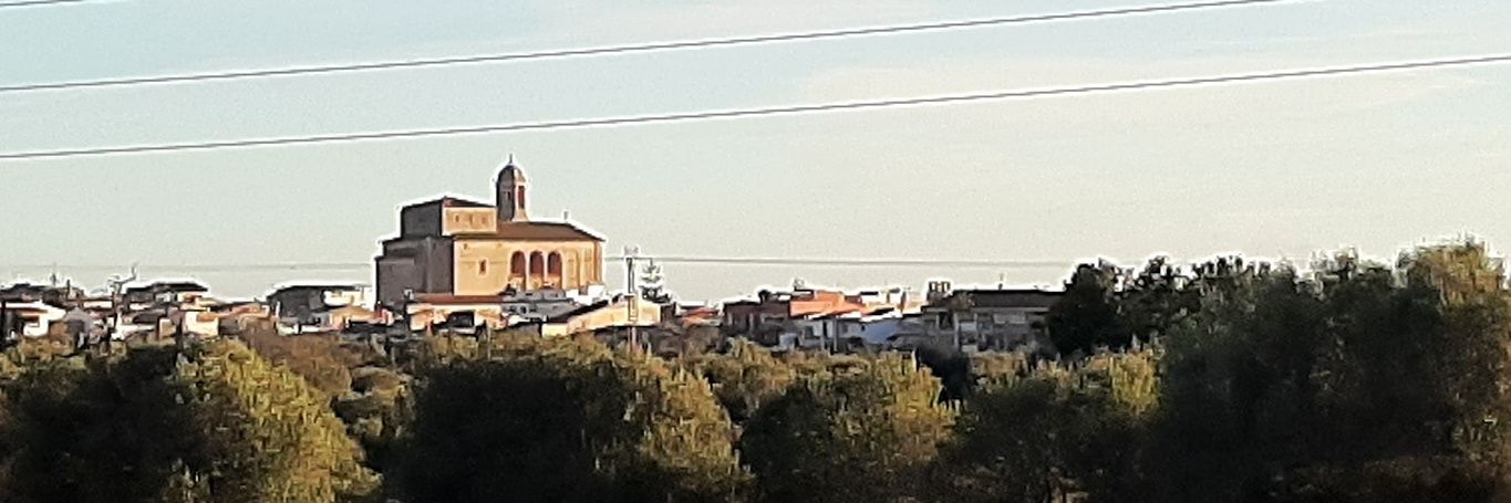 Xisca Lascolas banner