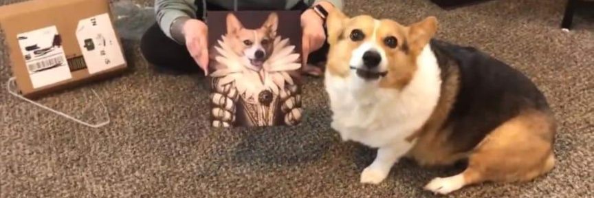 LadyDevann - Wishlist The Holdouts on Steam! banner