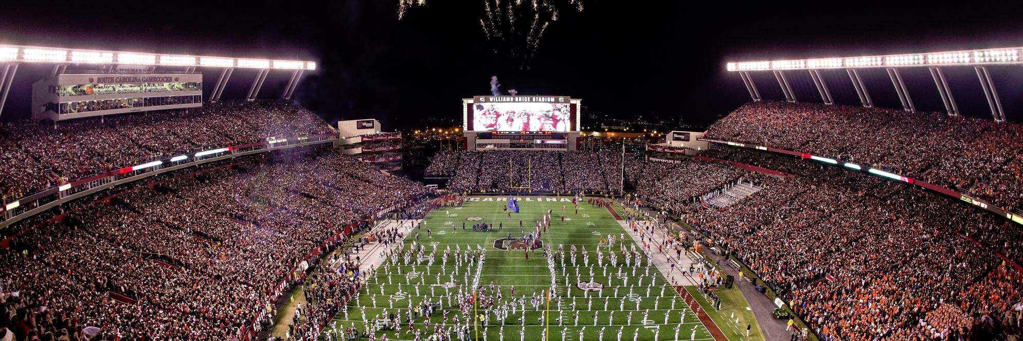 Williams-Brice banner