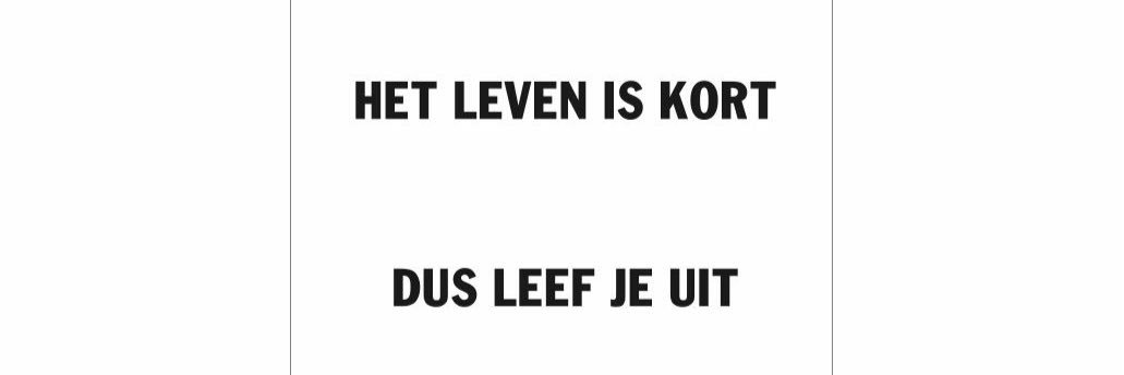 Anouk de Vries banner