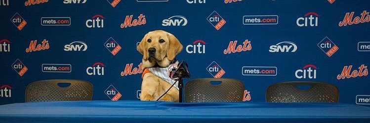 Erik Malinowski banner