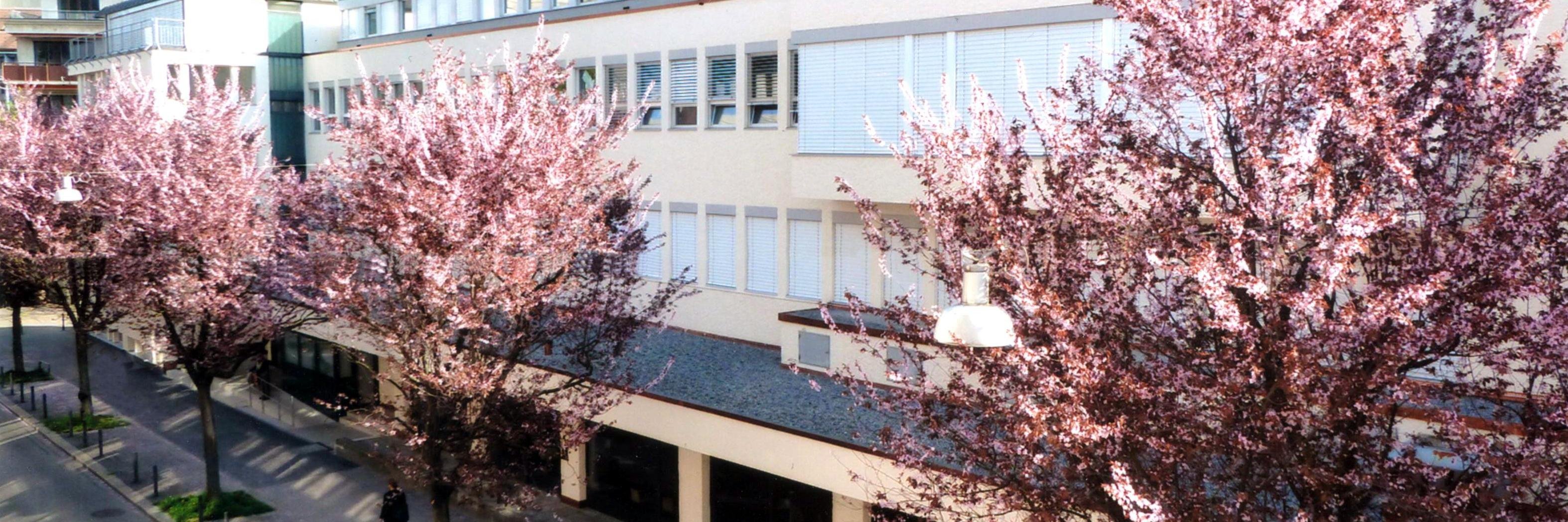 iczurich's profile banner image