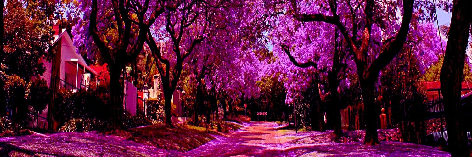 NelybethMolina's profile banner image