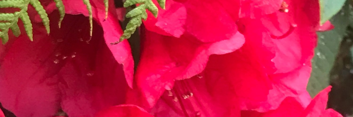 Co_Frazier's profile banner image