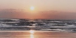 ocbiebergdr's profile banner image