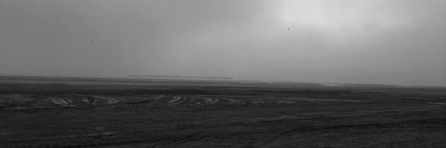 davidcsarnold1's profile banner image