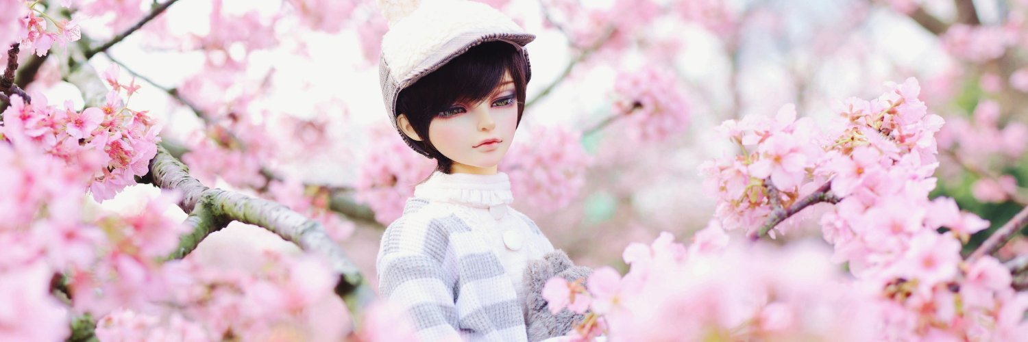 XHeliotropeX's profile banner image