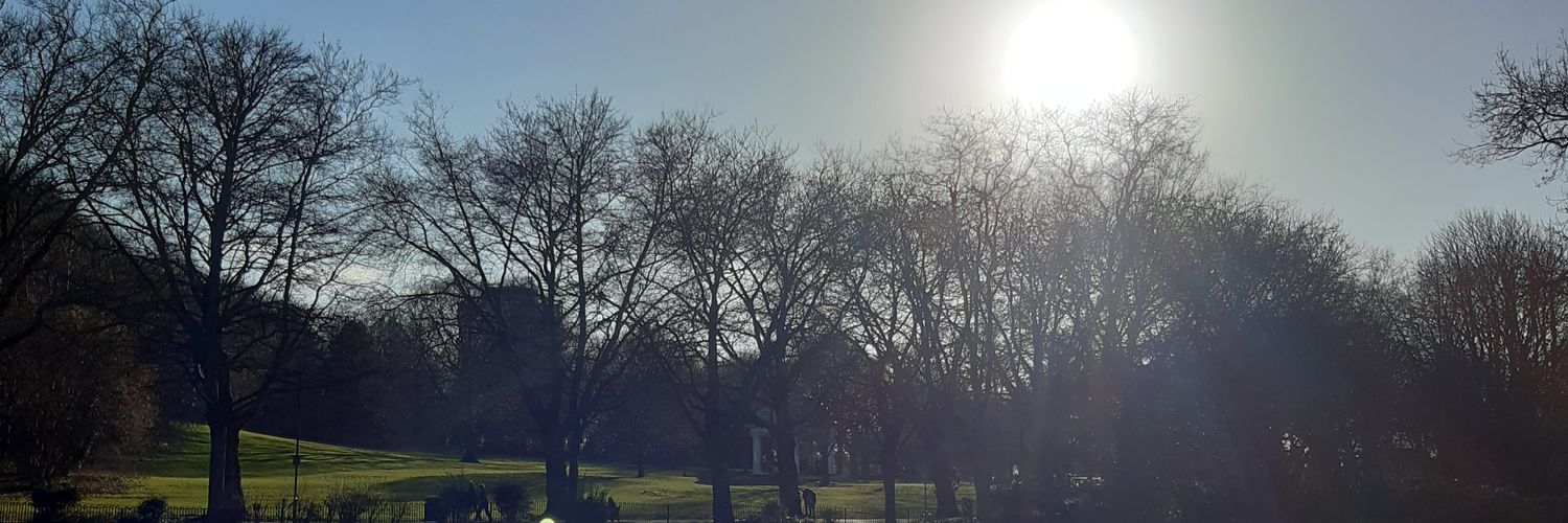 Michael Upton banner