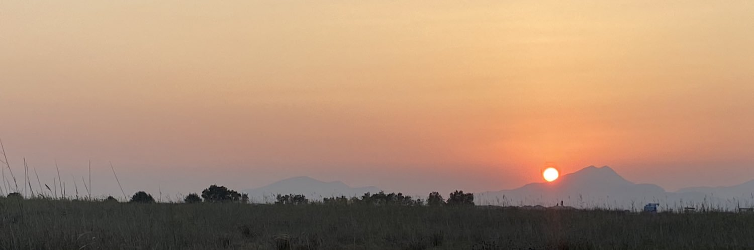 Prof Maxine Lintern banner