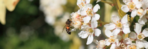 best4hedging Profile Banner