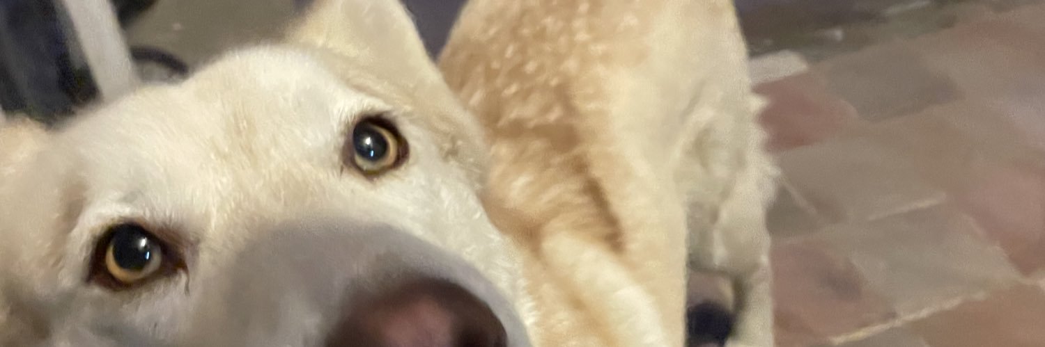 persian_em's profile banner image
