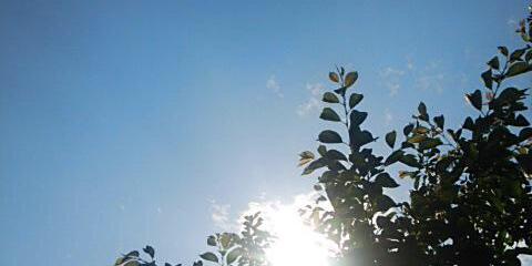 bangwans's profile banner image