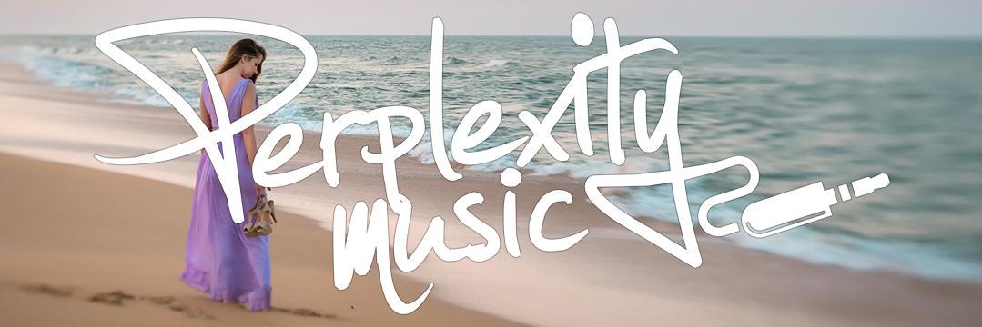 Perplexity Music banner