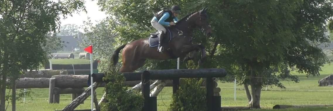 JS_Equestrian's profile banner image