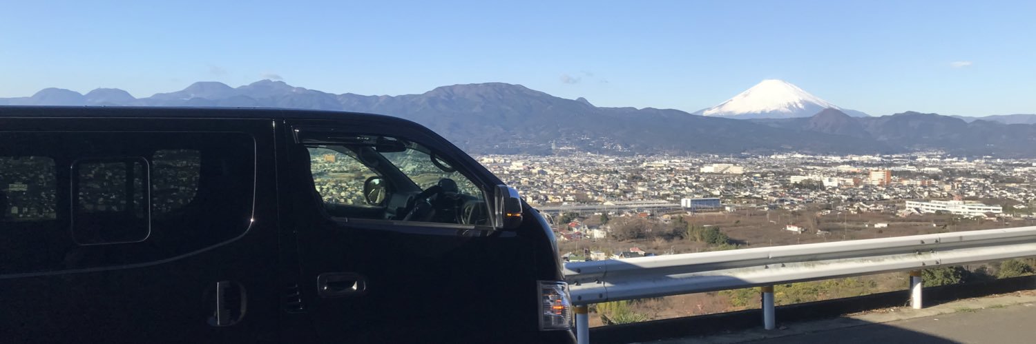 strayfatcat's profile banner image