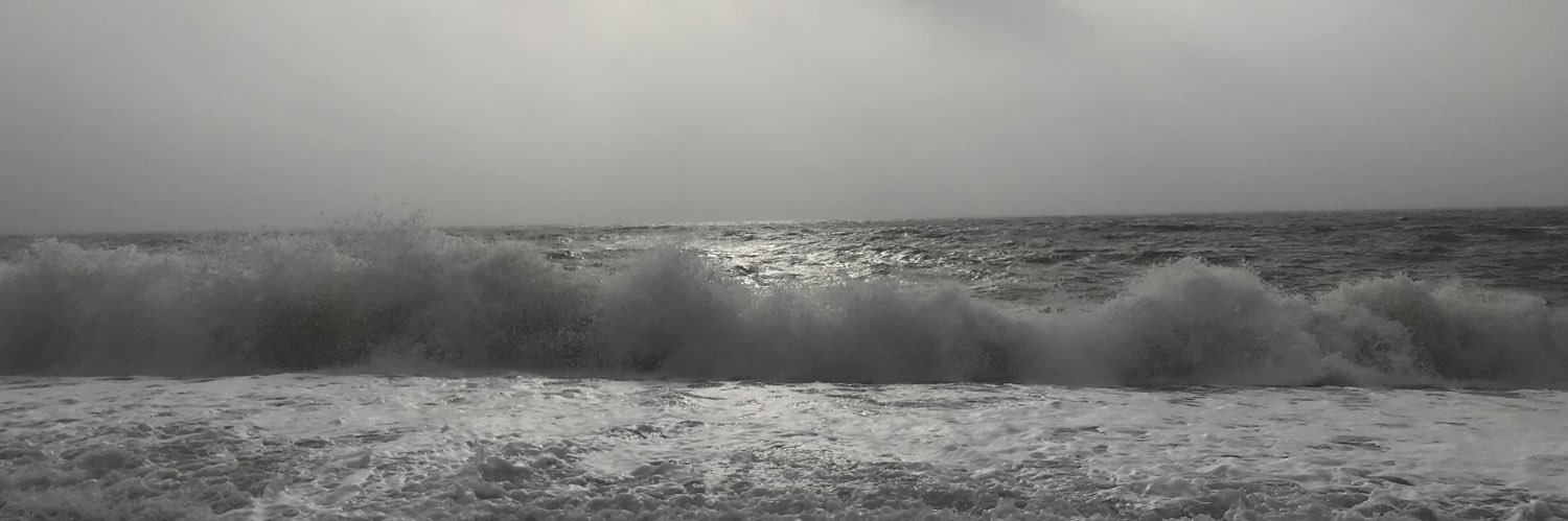 veerle de vos banner