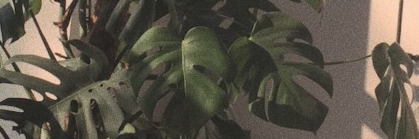 teamonajwa's profile banner image
