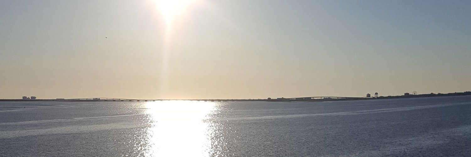 Mandylinn9's profile banner image