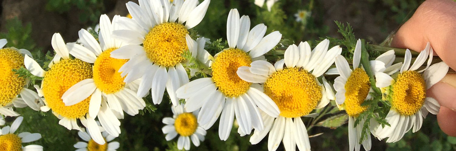 rselin_07's profile banner image
