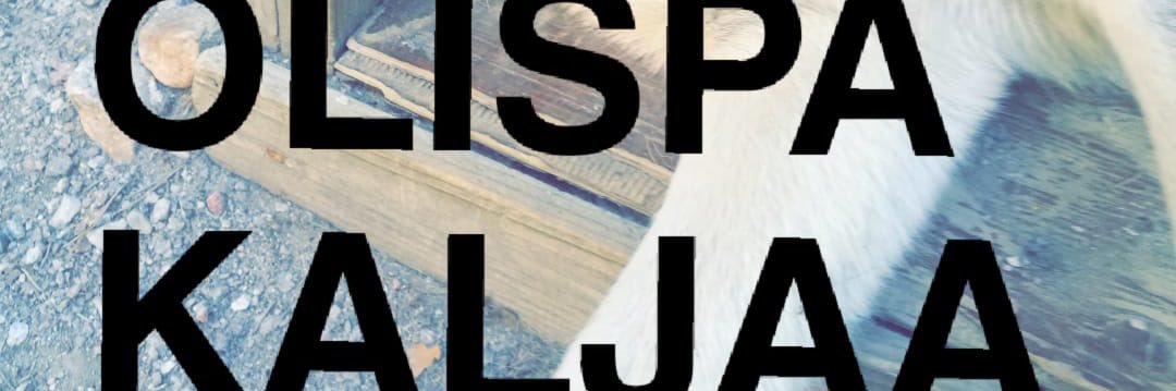 Eugene Alaköykkä banner