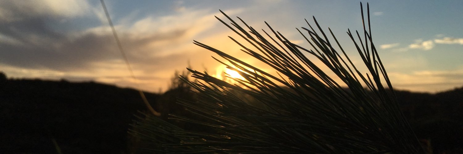 VladVG97's profile banner image