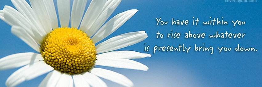 Candice Castillo, Ed.D. banner