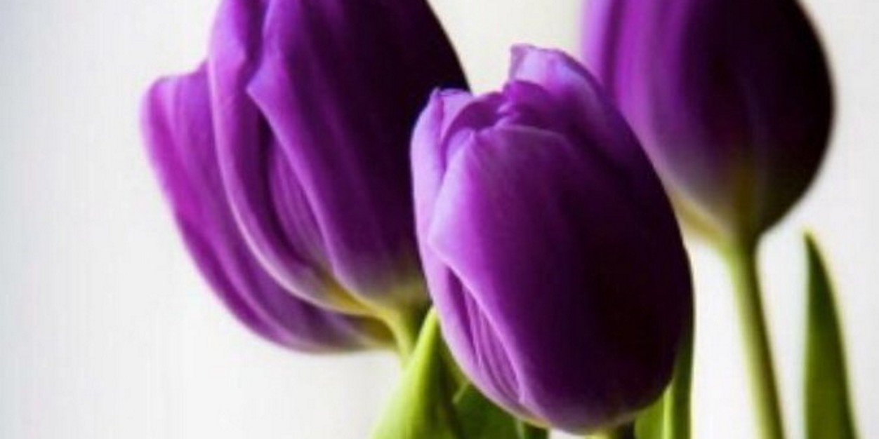 flower banner