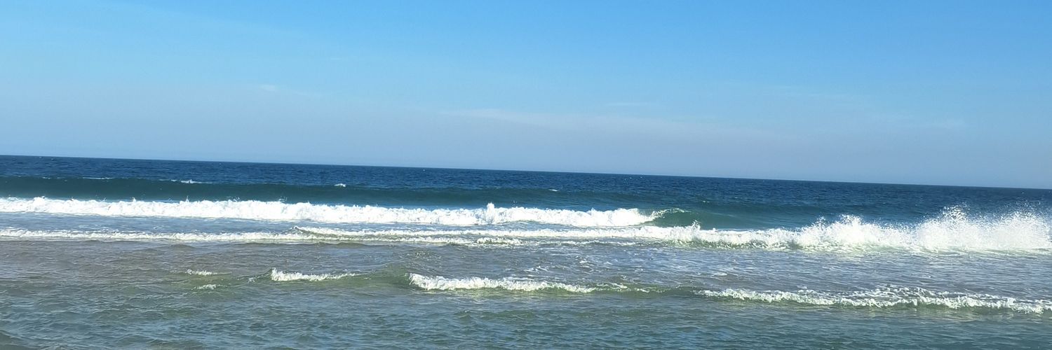prrbruna's profile banner image