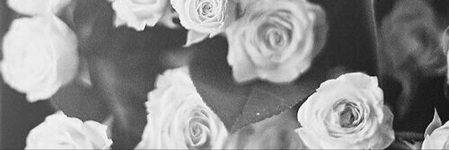 bowergfgdr's profile banner image