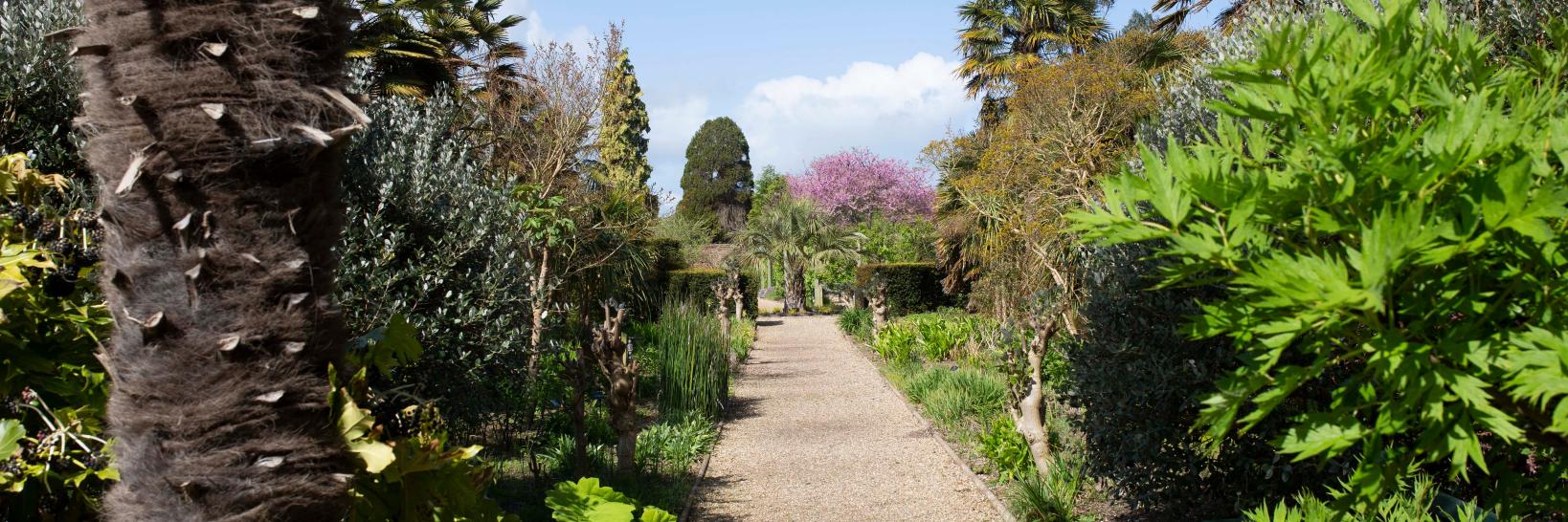 walledgardens's profile banner image