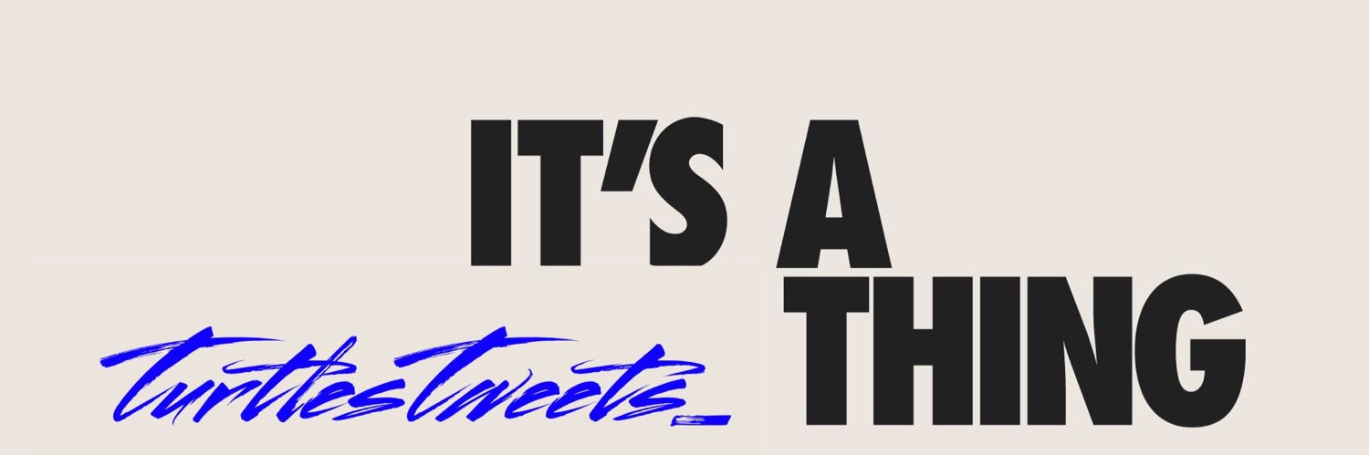 Turtle banner