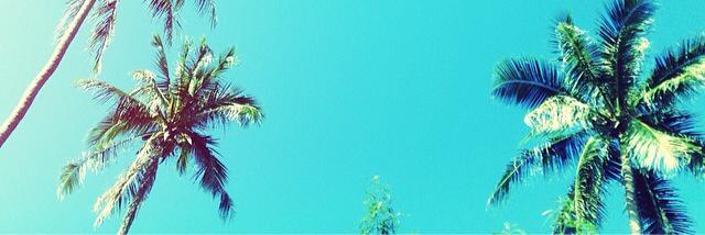 IamGavinDunn's profile banner image