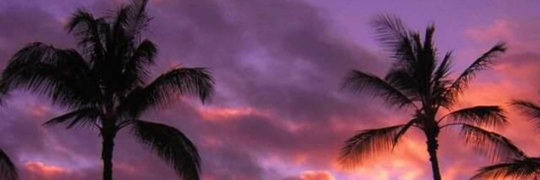fadeout_king's profile banner image