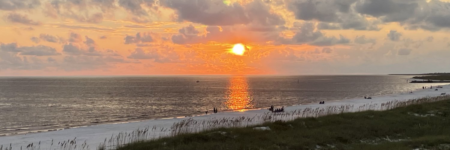 Karen Williams banner