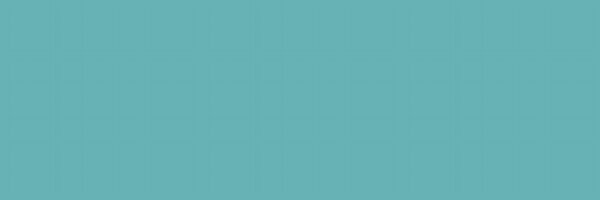 ChiccoseDOC Profile Banner