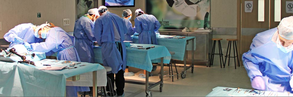 CursosIFMEC Profile Banner