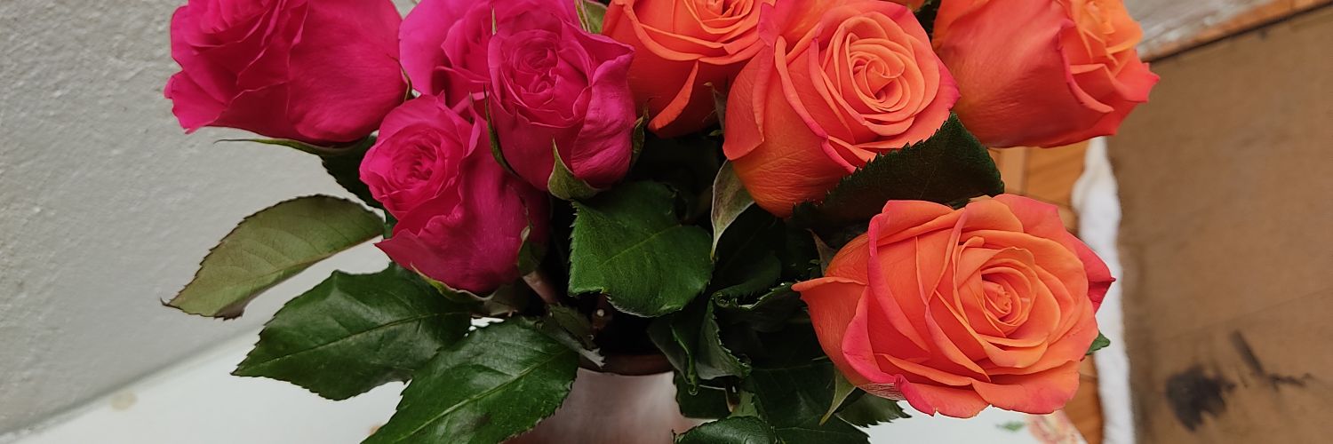 luisafvargasn's profile banner image