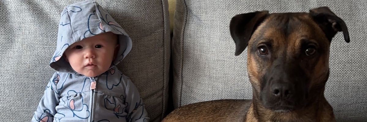DanHartfield's profile banner image