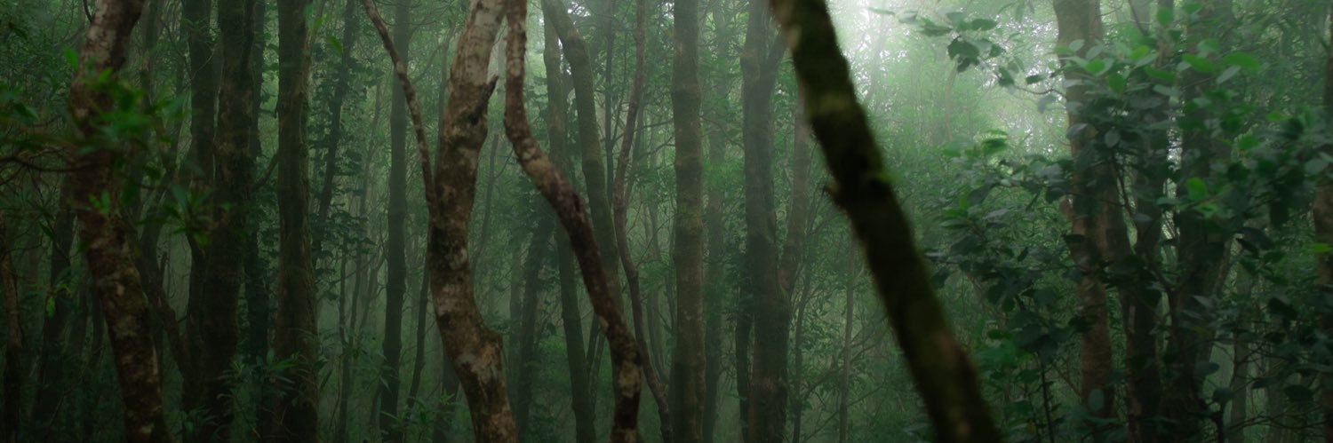 _FranMonzon's profile banner image