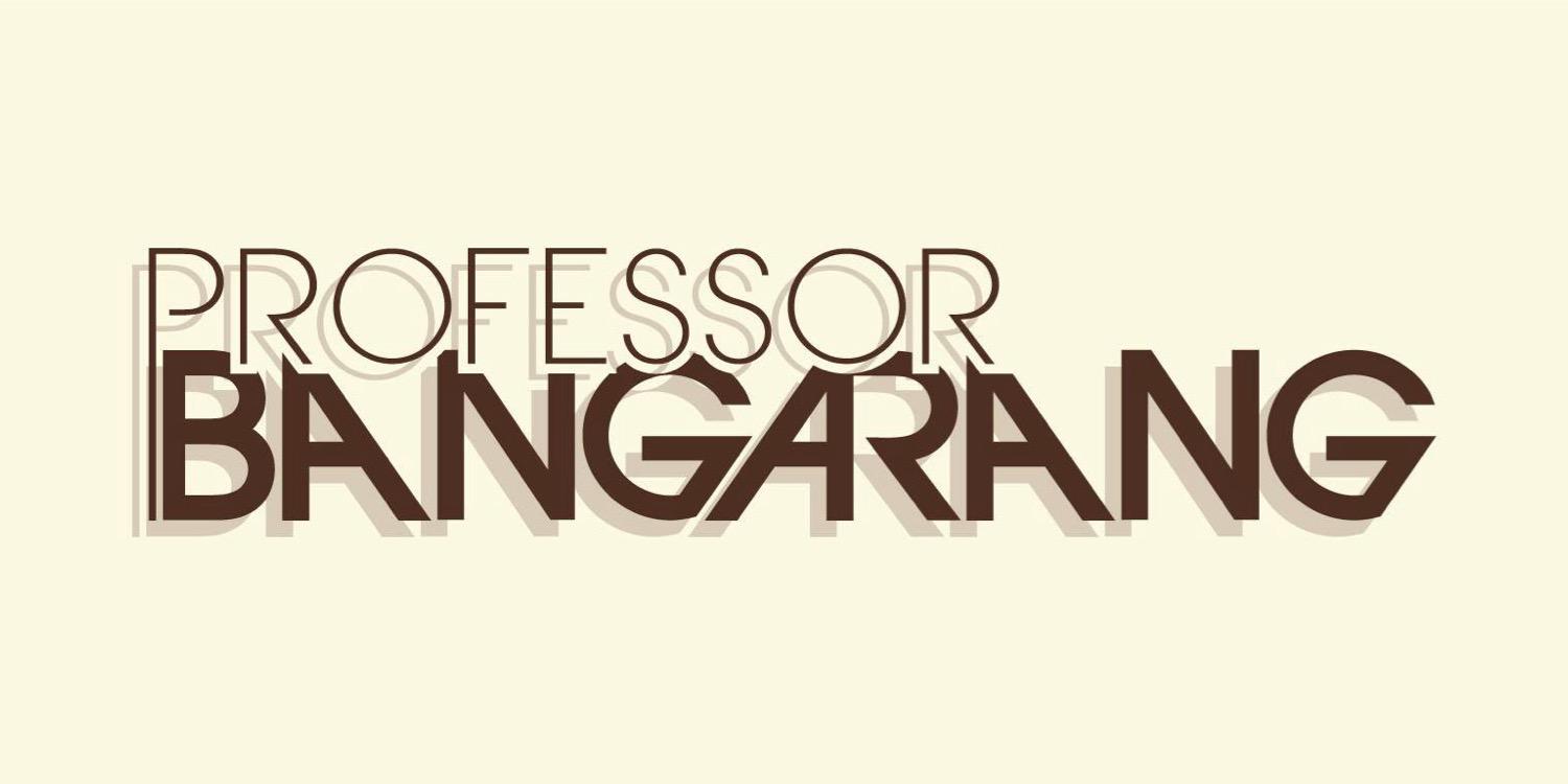 Professor Bangarang banner